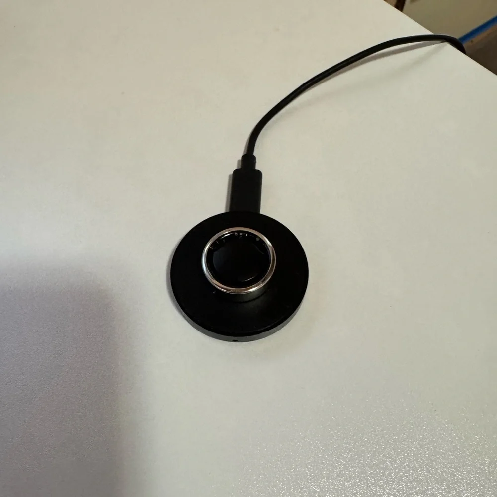 OURA Ring GEN 3 Horizon Silver